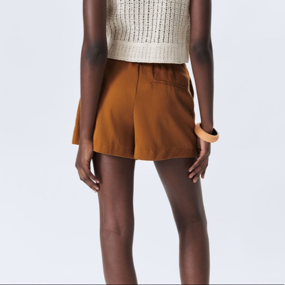 NWT Pleated Shorts— Zara - Picture 3 of 5